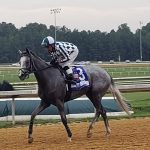 Spikezone named HBPA Claiming Horse of the Year