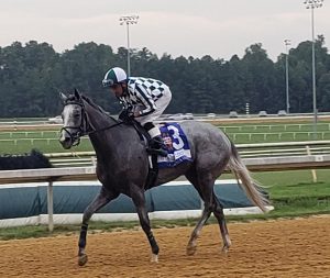 flippant-va oaks