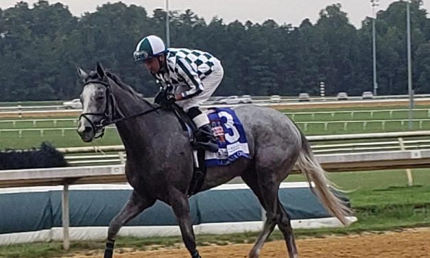 New tactics propel Flippant in Virginia Oaks