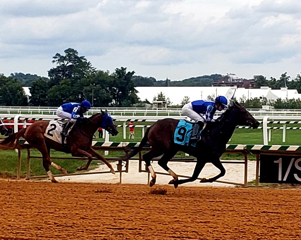 Laurel Park dirt course reopens for racing * The Racing Biz