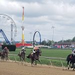 Timonium picks and ponderings September 3, 2021