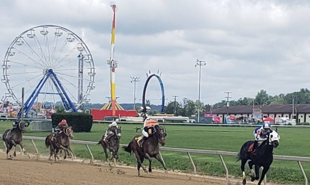 Timonium picks and ponderings: September 2, 2024