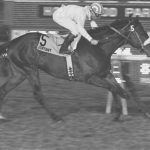 Meadowlands turf meet to kick off October 1