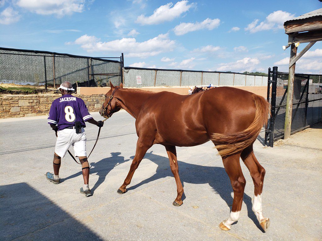 Hip 415-Mendelssohn