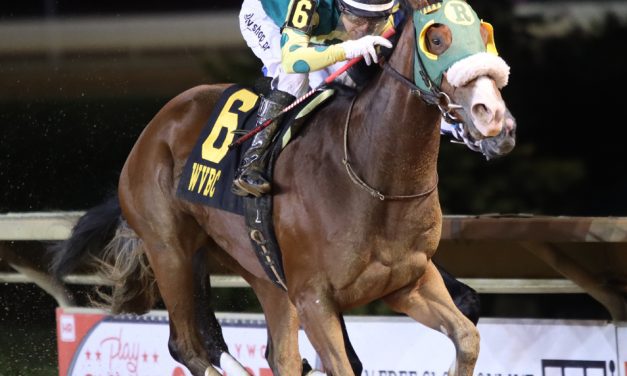 WVBC: Big night for broodmare Miss Henny Penny