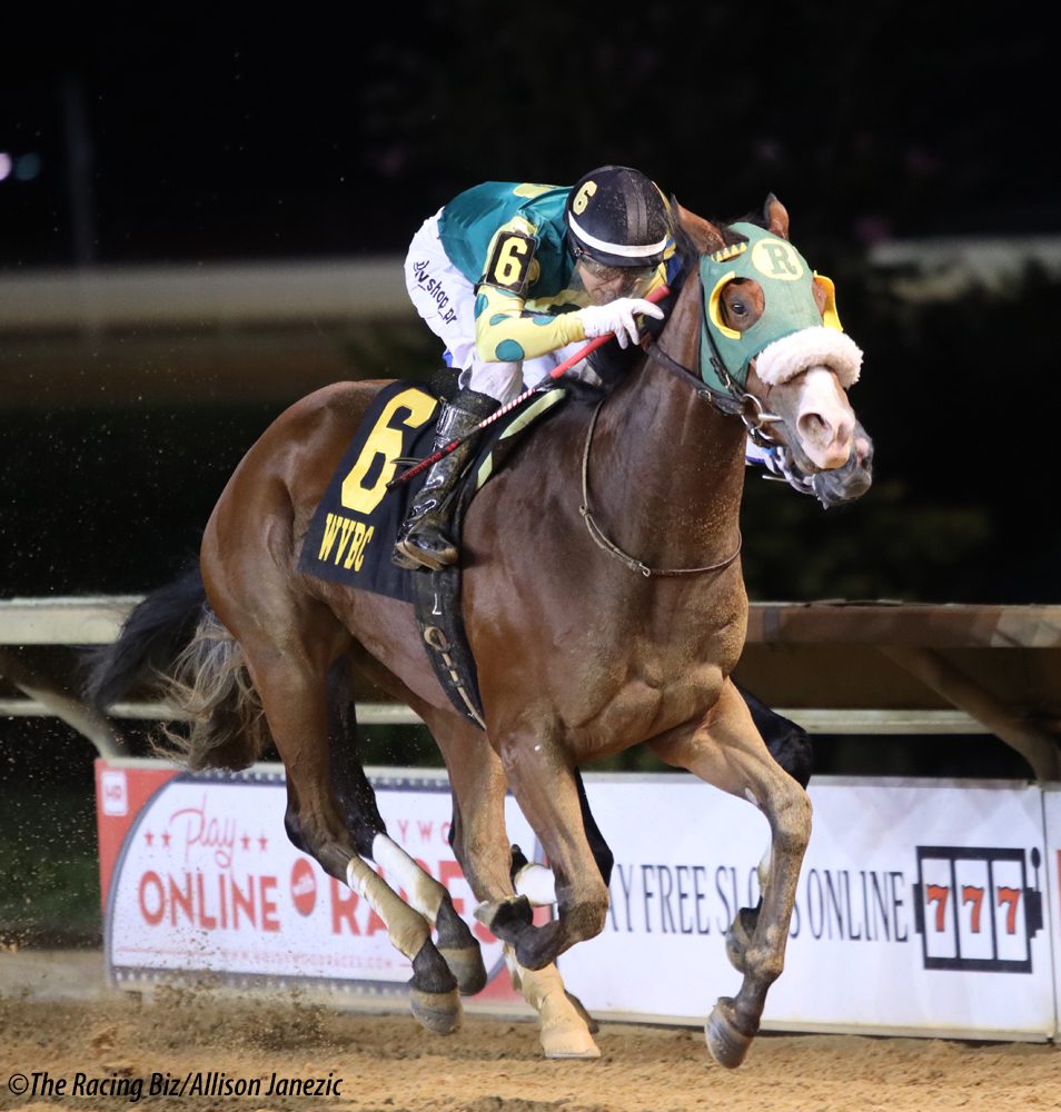 Door Buster won the WV Tourism Office Breeders' Classic. Photo Allison Janezic.