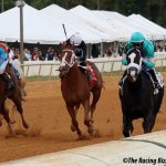 VIDEO: This horse is all of us in 2022