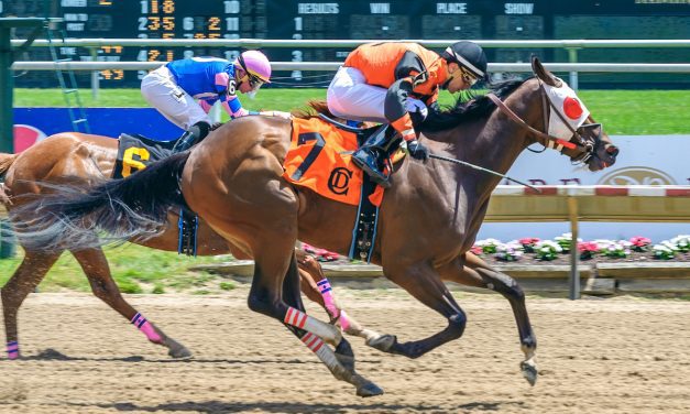 Trainer Andy Simoff horsing around with names