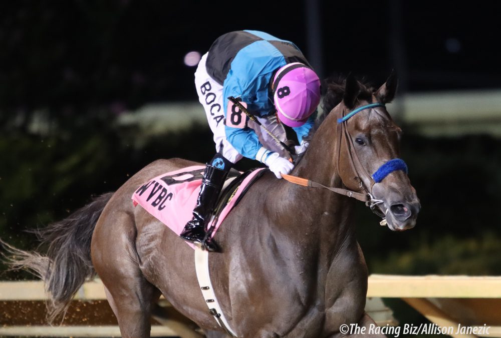 Muad’dib, Star of Night share top WV-bred honor