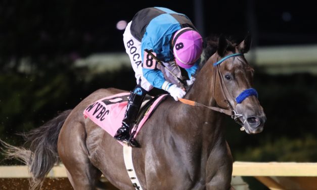 Muad’dib named WV horse of the year in melancholy ceremony