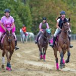 Laurel Park picks and ponderings: October 27, 2022
