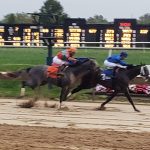 Delaware Park Handicappers’ Notebook 2022 Vol. 20