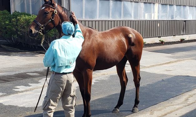 Fasig-Tipton: Yearling sale has Maryland flavor