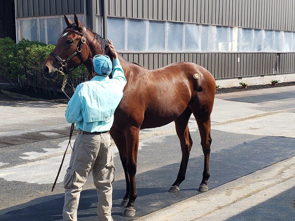 Fasig-Tipton