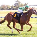 Breeders’ Cup start eyed for Consumer Spending