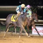 Laurel Park picks and ponderings October 31, 2021