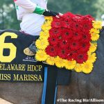 Delaware: Catching up with… Vince Halliday