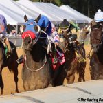 Laurel Park picks and ponderings: April 27, 2024