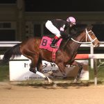 Laurel Park will not race this upcoming weekend