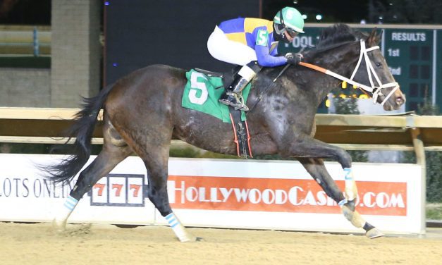 Jungle Beast roars in WV Futurity