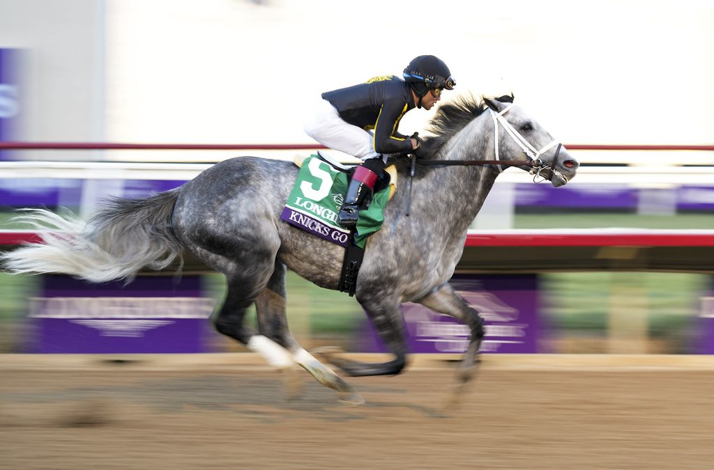 Knicks Go named Horse of the Year