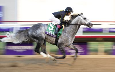 Md-breds steal Breeders’ Cup spotlight