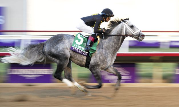 Knicks Go named Horse of the Year