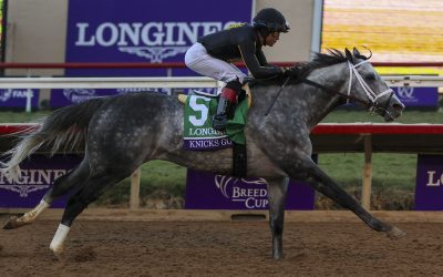 Knicks Go tabbed Md-bred Horse of the Year