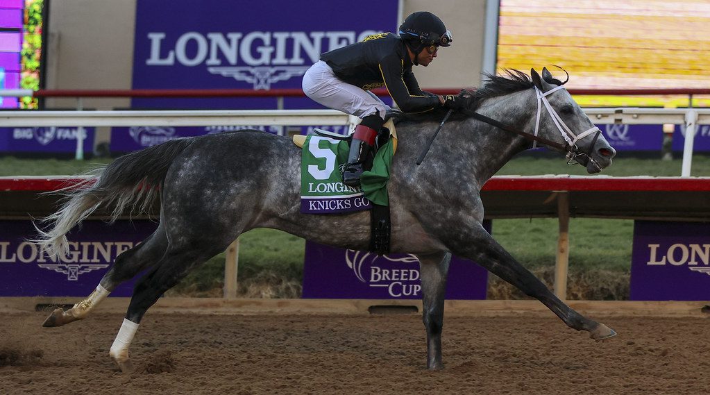 Knicks Go stretched out to win the Breeders' Cup Classic. Photo by Tim Sudduth/Breeders’ Cup/Eclipse Sportswire/CSM.