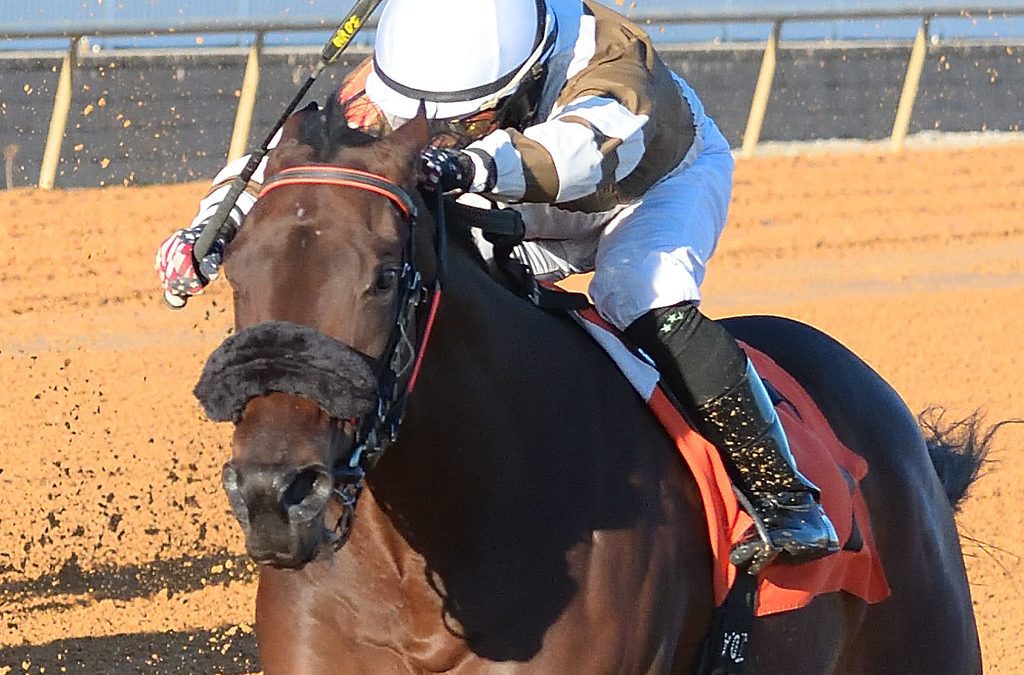 Miracle Wood Stakes quick hits