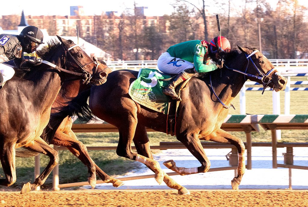 Miss Leslie proved best in the Thirty Eight Go Go Stakes at Laurel Park. Photo Jim McCue.