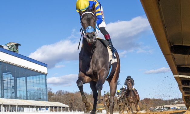 Toledo, Robb seeking Laurel winter meet titles