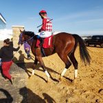 Laurel Park picks and ponderings November 7, 2021