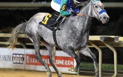 Star of Night headlines CT stakes action