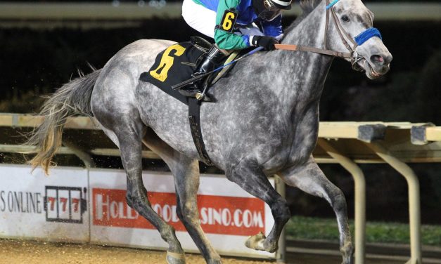 WV-bred champ Star of Night retired