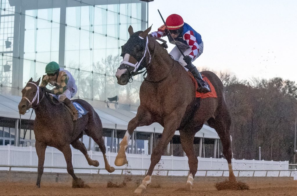 Alapocas Run Stakes snippets