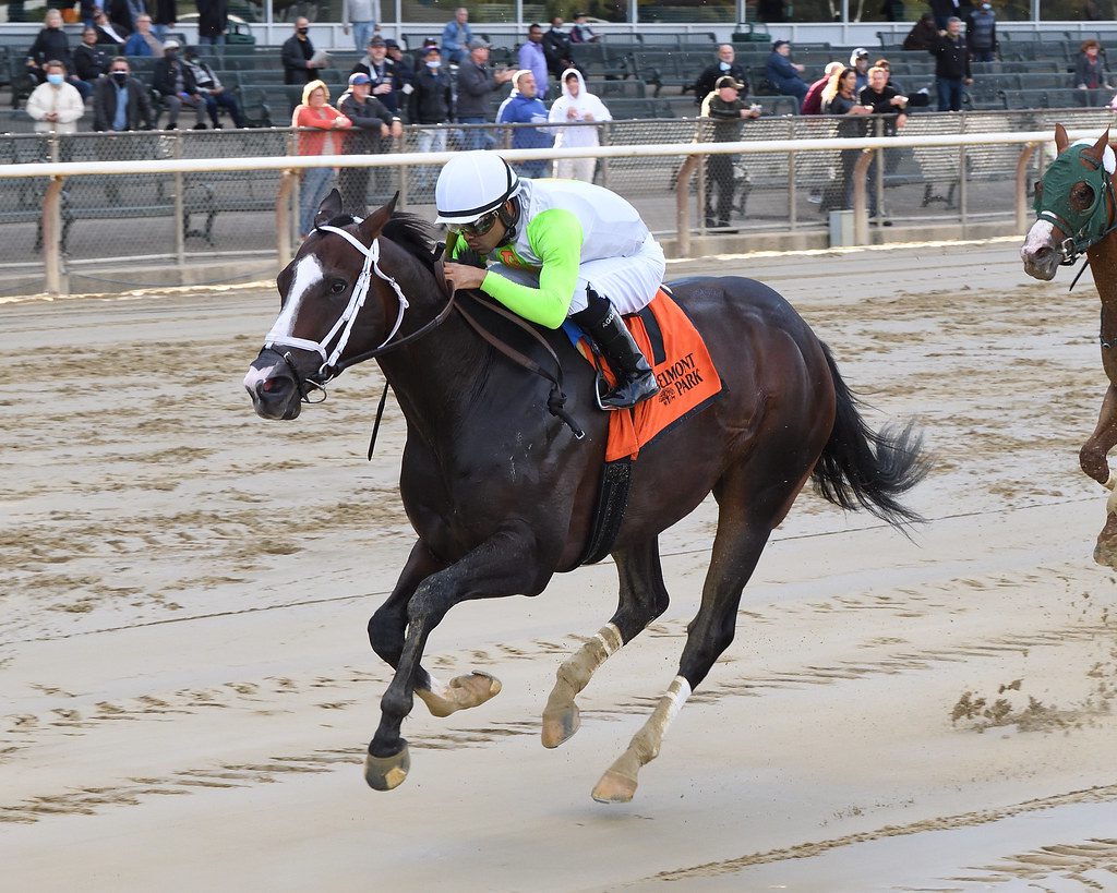 Wondrwherecraigis won the Bold Ruler. Photo Chelsea Durand/NYRA.