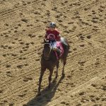 Parx Racing cancels Jan. 11 card