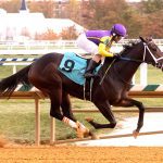 Jeff Runco has pair for Laurel’s Heft S.