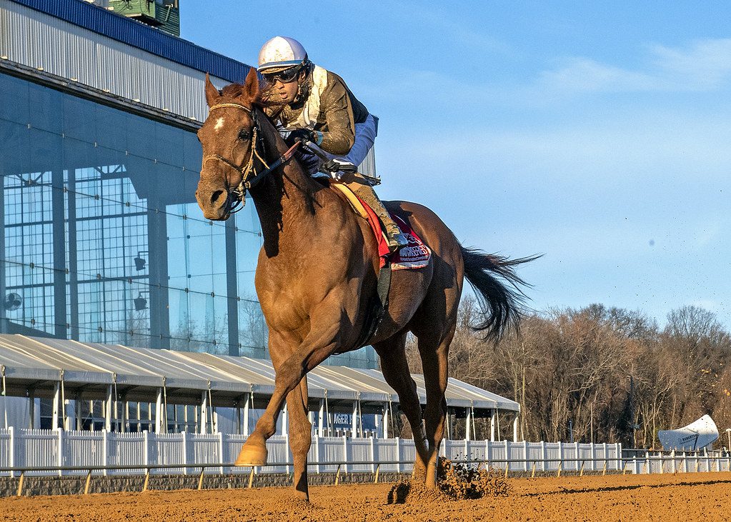 Cordmaker easily won the Robert T. Manfuso Stakes. Photo Jerry Dzierwinski.