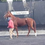 BackTracks: Lil E. Tee, PA’s first Derby winner