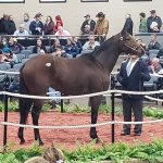 Charles Town picks and analysis: December 11