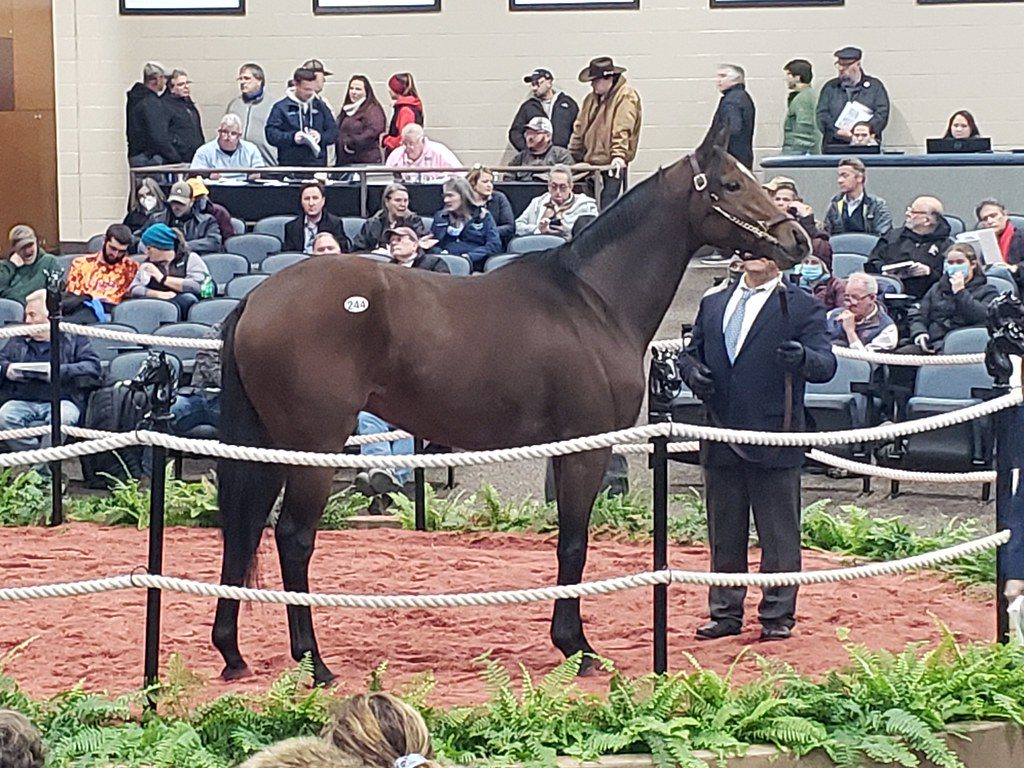 Fasig-Tipton