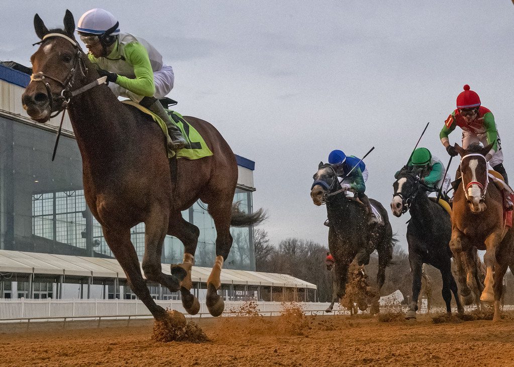 Joe won the Maryland Juvenile Championship. Photo Jerry Dzierwinski.