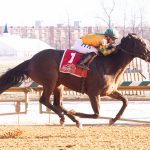 Nick’s Picks: Colonial Downs picks August 16