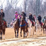 Laurel Park