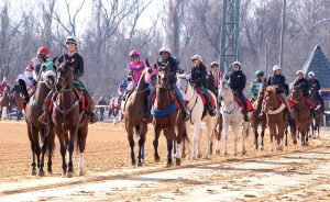 Laurel Park