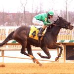 Stallion season auction will benefit Maryland Horse Foundation