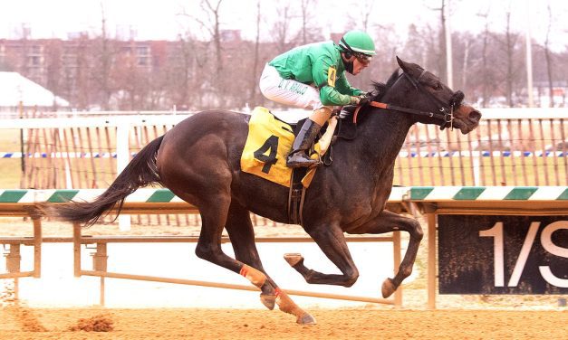 Luna Belle eclipses rivals in Md Juvy Fillies