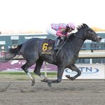 Witty cruises to Stanton Stakes win
